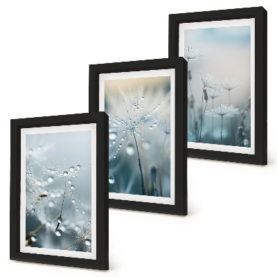 Set 3 tablouri Picături de rouă pe păpădii delicate