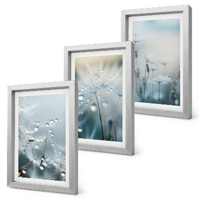 Set 3 tablouri Picături de rouă pe păpădii delicate