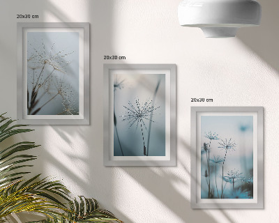 Galerie de perete Păpădii delicate cu picături de apă