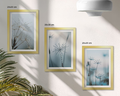 Galerie de perete Păpădii delicate cu picături de apă