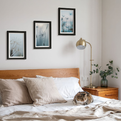 Galerie de perete Păpădii delicate cu picături de apă
