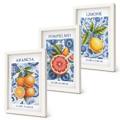 Set 3 tablouri Ilustrații vintage cu citrice