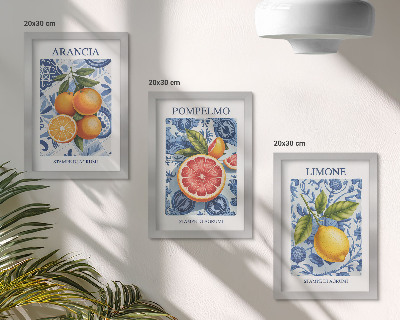 Set 3 tablouri Ilustrații vintage cu citrice