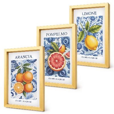 Set 3 tablouri Ilustrații vintage cu citrice