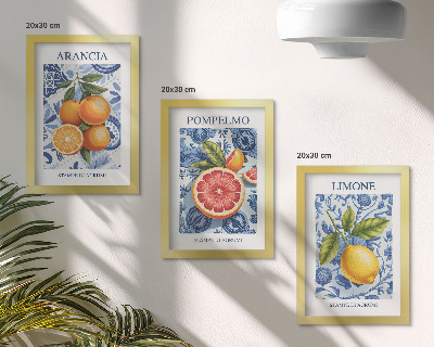 Set 3 tablouri Ilustrații vintage cu citrice