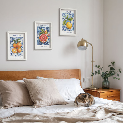 Set 3 tablouri Ilustrații vintage cu citrice