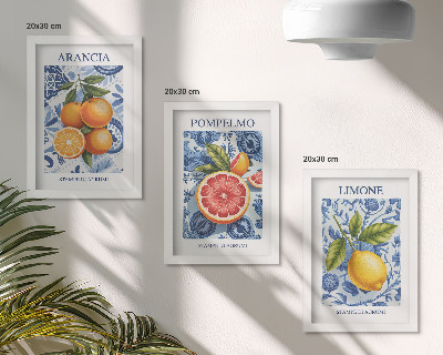 Set 3 tablouri Ilustrații vintage cu citrice