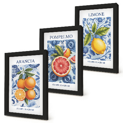 Set 3 tablouri Ilustrații vintage cu citrice