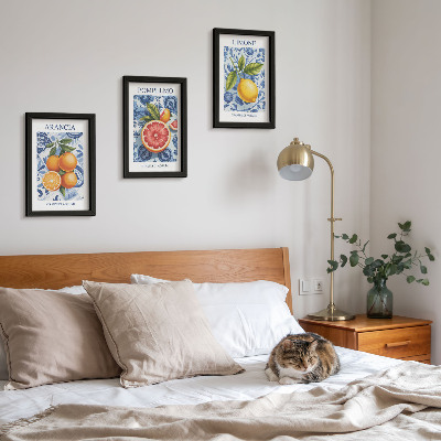 Set 3 tablouri Ilustrații vintage cu citrice