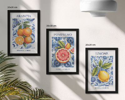 Set 3 tablouri Ilustrații vintage cu citrice