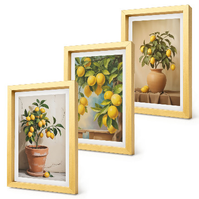 Set 3 tablouri Lămâi în ghivece și vaze