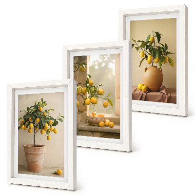 Set 3 tablouri Lămâi în ghivece și pe fereastră