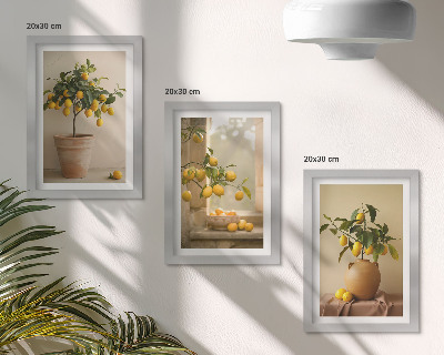 Set 3 tablouri Lămâi în ghivece și pe fereastră