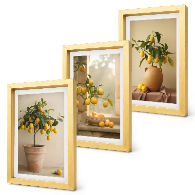 Set 3 tablouri Lămâi în ghivece și pe fereastră