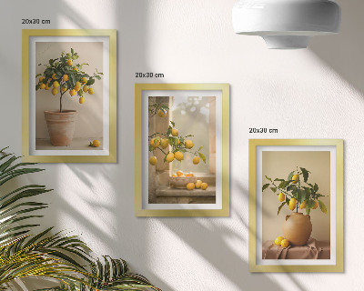 Set 3 tablouri Lămâi în ghivece și pe fereastră