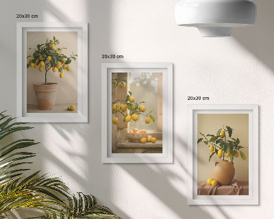 Set 3 tablouri Lămâi în ghivece și pe fereastră