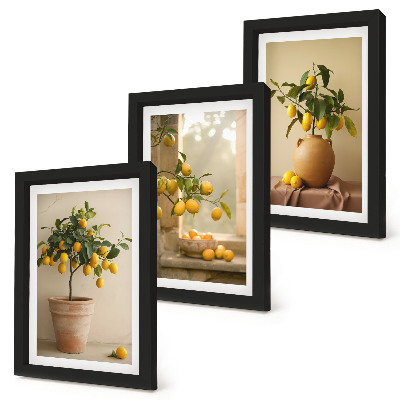 Set 3 tablouri Lămâi în ghivece și pe fereastră