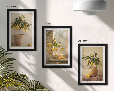 Set 3 tablouri Lămâi în ghivece și pe fereastră