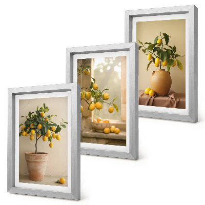 Set 3 tablouri Lămâi în ghivece și pe fereastră