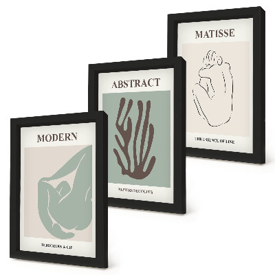 Set 3 tablouri Picturi elegante cu motive abstracte de Henri Matisse