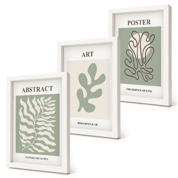 Set 3 tablouri Posterele florale ale lui Henri Matisse