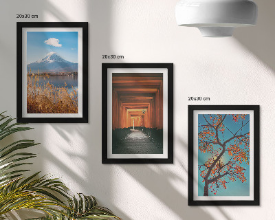 Galerie de perete Peisaje japoneze, natură și arhitectură din Asia