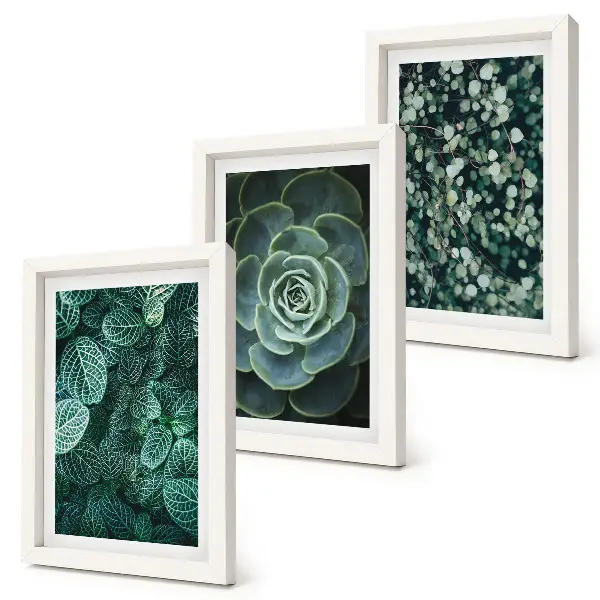 Galerie de perete cu frunze verzi de plante suculente și crenguțe delicate