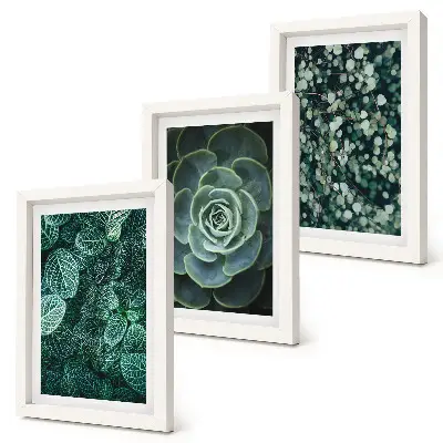 Galerie de perete cu frunze verzi de plante suculente și crenguțe delicate