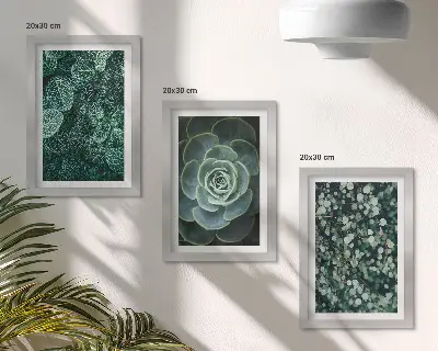 Galerie de perete cu frunze verzi de plante suculente și crenguțe delicate