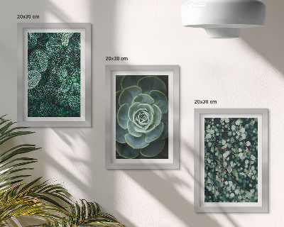 Galerie de perete Frunze verzi de plante suculente și crenguțe delicate