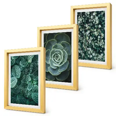 Galerie de perete cu frunze verzi de plante suculente și crenguțe delicate