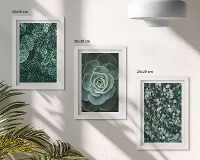Galerie de perete cu frunze verzi de plante suculente și crenguțe delicate