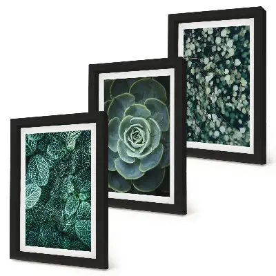 Galerie de perete cu frunze verzi de plante suculente și crenguțe delicate