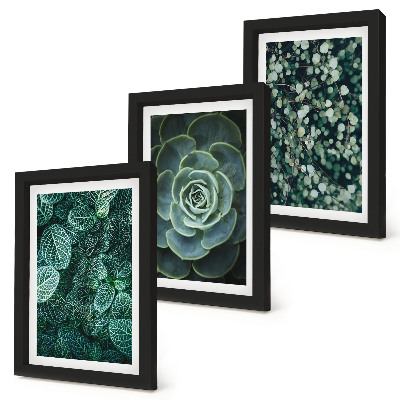 Galerie de perete Frunze verzi de plante suculente și crenguțe delicate