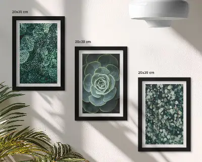 Galerie de perete cu frunze verzi de plante suculente și crenguțe delicate