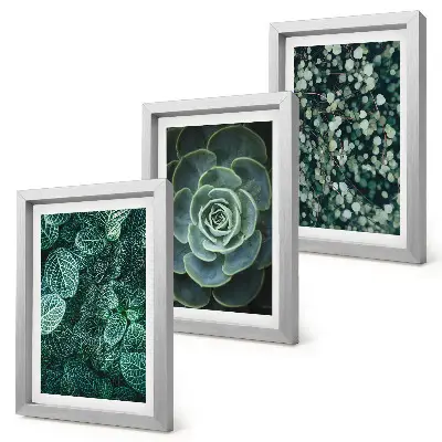 Galerie de perete cu frunze verzi de plante suculente și crenguțe delicate