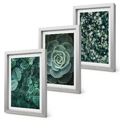 Galerie de perete Frunze verzi de plante suculente și crenguțe delicate