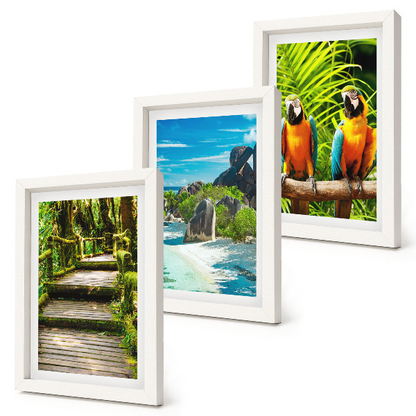 Galerie de perete Pădure tropicală cu o cascadă și papagali colorați