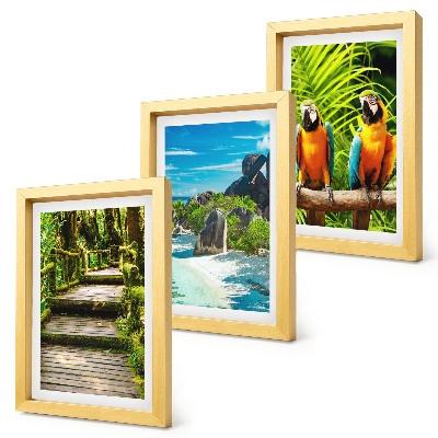 Galerie de perete Pădure tropicală cu o cascadă și papagali colorați