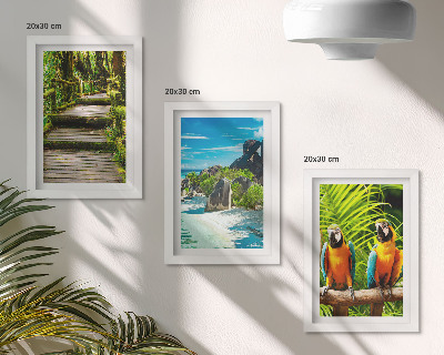 Galerie de perete Pădure tropicală cu o cascadă și papagali colorați