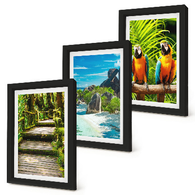 Galerie de perete Pădure tropicală cu o cascadă și papagali colorați