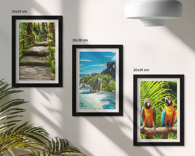 Galerie de perete Pădure tropicală cu o cascadă și papagali colorați