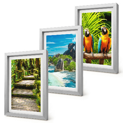 Galerie de perete Pădure tropicală cu o cascadă și papagali colorați