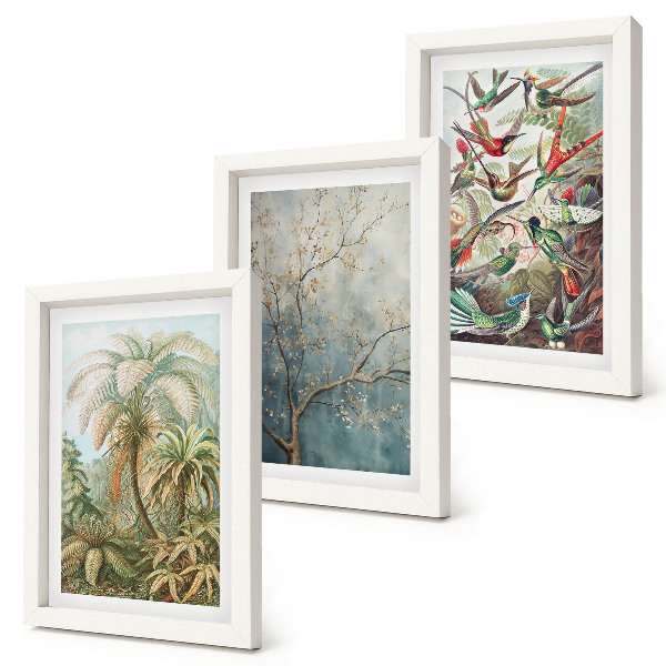 Set 3 tablouri Plante tropicale și păsări colorate în natură