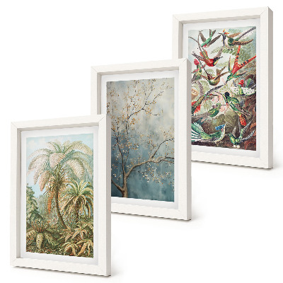 Set 3 tablouri Plante tropicale și păsări colorate în natură