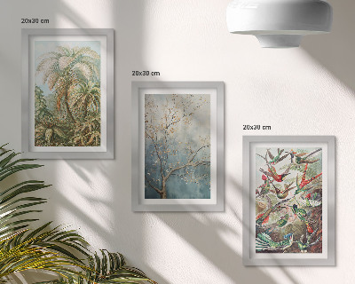 Set 3 tablouri Plante tropicale și păsări colorate în natură