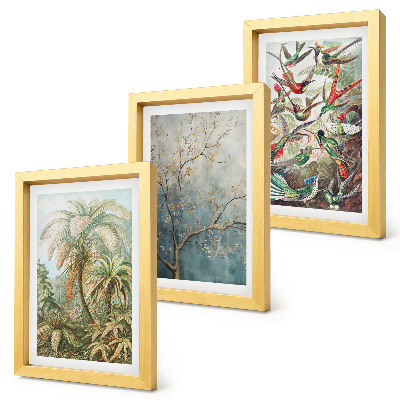 Set 3 tablouri Plante tropicale și păsări colorate în natură