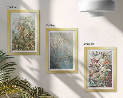 Set 3 tablouri Plante tropicale și păsări colorate în natură