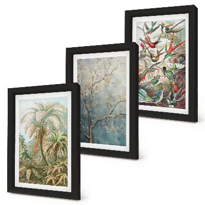 Set 3 tablouri Plante tropicale și păsări colorate în natură