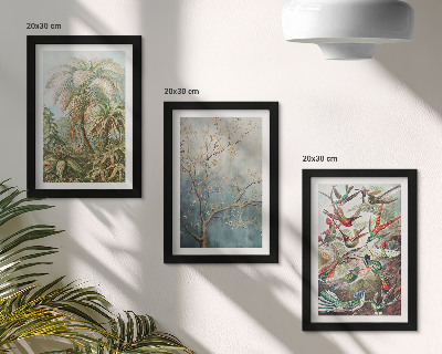 Set 3 tablouri Plante tropicale și păsări colorate în natură